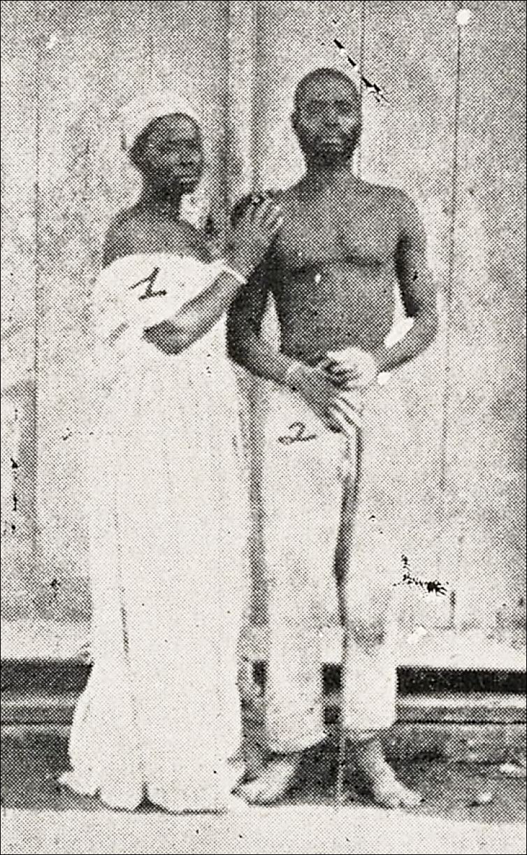 Henri Dumont, "Antropología y patología comparadas de los negros," Revista Bimestre Cubana 10, no. 2 (1915): 268a.